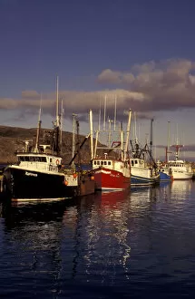 NA, Canada, Newfoundland, St. Johns Boats in St. Johns Harbor