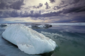 Images Dated 11th February 2005: NA, Canada, Nunavut, Somerset Island, Sea ice