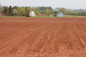 Red Dirt Prints: NA, Canada, Prince Edward Island, Orwell Cove. Farmhouse and plowed field