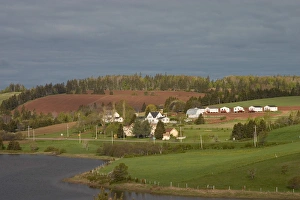 Images Dated 19th January 2005: NA, Canada, Prince Edward Island. Countryside near New Glascow