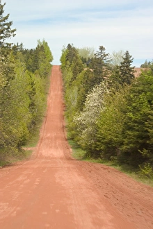 Images Dated 19th January 2005: NA, Canada, Prince Edward Island. Red dirt country road