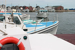 Images Dated 19th January 2005: NA, Canada, Prince Edward Island. Malpeque Harbour