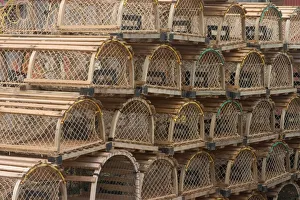 Images Dated 19th January 2005: NA, Canada, Prince Edward Island, Malpeque Harbour. Lobster pots