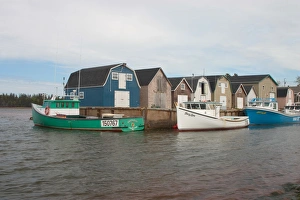 Images Dated 19th January 2005: NA, Canada, Prince Edward Island, New London. Fishing sheds and lobster boats in harbour