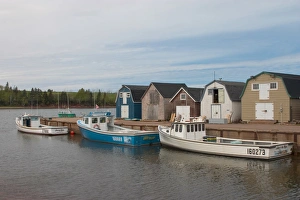 New London Prints: NA, Canada, Prince Edward Island, New London. Fishing sheds and lobster boats in harbour