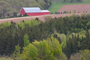 Images Dated 19th January 2005: NA, Canada, Prince Edward Island. Red barn near New London