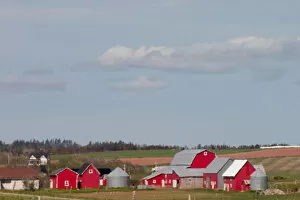 NA, Canada, Prince Edward Island. Country farm