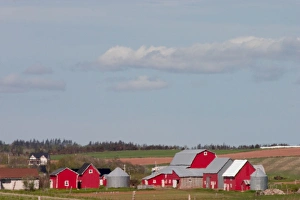 Images Dated 19th January 2005: NA, Canada, Prince Edward Island. Country farm