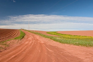 Images Dated 19th January 2005: NA, Canada, Prince Edward Island. Country road
