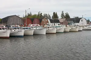 Images Dated 19th January 2005: NA, Canada, Prince Edward Island. Malpeque Harbour