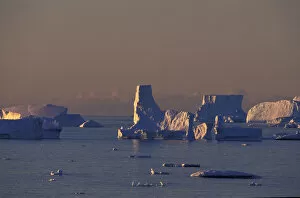 Images Dated 23rd September 2004: NA, USA, Alaska, Antarctic Peninsula, Bismark Strait, Petermann Island. Tabular icebergs