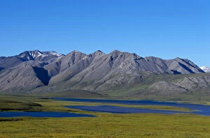 NA, USA, Alaska, Brooks Range, Alaska National Wildlife Refuge, View of the tundra
