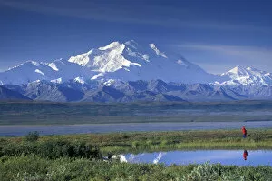 NA, USA, Alaska, Denali NP Mt. McKinley (20, 320 feet) A lone hiker