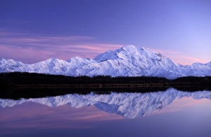 NA, USA, Alaska, Denali NP Mt. McKinley (Denali), showing the north face of Denali