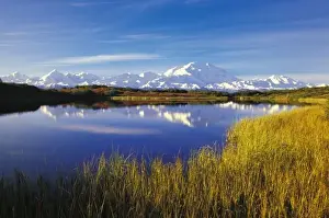 NA, USA, Alaska, Denali NP Mt. McKinley in Reflection Pond, autumn colors