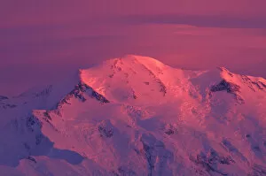 NA, USA, Alaska, Denali NP, Wickersham wall, Pioneer Ridge, lit by alpenglow