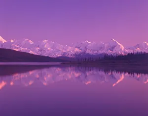 Filter Prints: NA, USA, Alaska, Denali NP, Wonder Lake, Evening light on Alaska Range from north