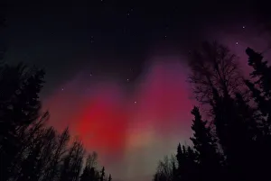 Images Dated 7th March 2005: NA, USA, Alaska, Fairbanks