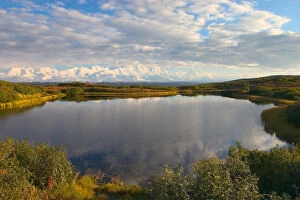 Images Dated 2nd February 2006: N.A. USA, Alaska. Mt. McKinley Range and pond in Denali National Park