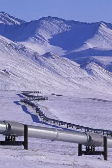 NA, USA, Alaska, north slope of Brooks Range Trans-Alaska pipeline snakes across