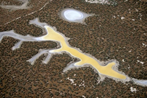 Images Dated 24th March 2005: NA, USA, California. Carrizo Plain