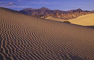 NA, USA, California. Death Valley National Park. Mesquite Flat Sand Dunes with Grapevine
