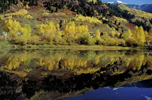 Images Dated 28th January 2004: NA, USA, Colorado