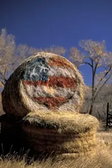 Roll Prints: NA, USA, Colorado, Gunnison. Patriotic hay roll with US flag; patriotism