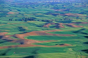 Images Dated 5th January 2005: NA, USA, Eastern Washington, Whitman County, Palouse region, springtime hills seen