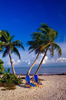 Deep South Prints: NA, USA, Florida, Florida Keys, Palm Trees & Chairs on Beach