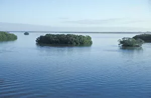 Images Dated 13th January 2004: NA, USA, Florida, Lovers Key SRA, Ft. Myers Beach Mangrove Islands off of Long Key