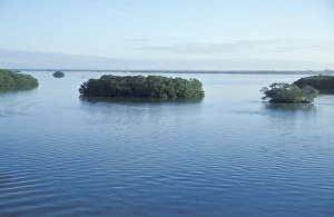 Images Dated 2004 January: 13 Jan 2004 Collection