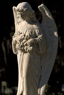 N.A. USA, Georgia, Savannah. Angel statue in Bonaventure Cemetery