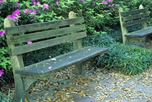 N.A. USA, Georgia, Savannah. Park benches in town square