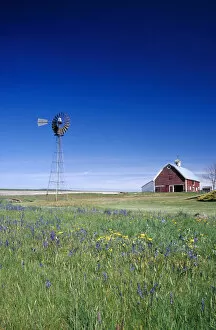 Images Dated 24th March 2005: Na, USA, ID, Grangeville, Old Red Barn with Spring Wildflowers
