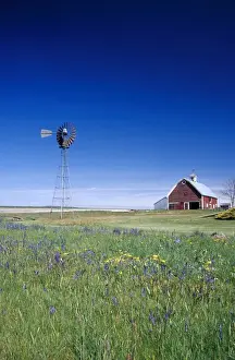 Grangeville Prints: Na, USA, ID, Grangeville, Old Red Barn with Spring Wildflowers