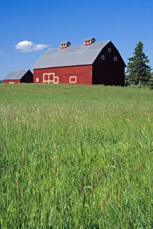N.A. USA, Idaho, Latah County. Red barn near Potlatch. PR