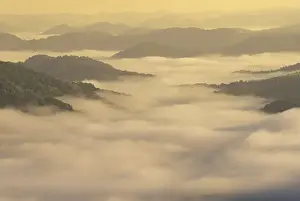 Inspiration Prints: NA, USA, Kentucky, Kingdom Come State Park Mist in the valleys; Cumberland Plateau