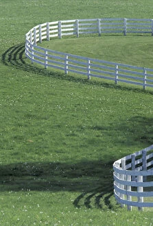 NA, USA, Kentucky, Lexington White fence on horse farm (Not property released)