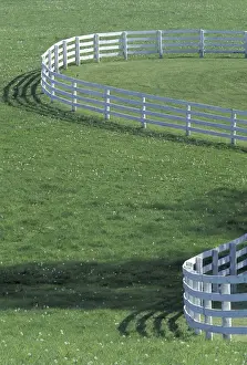Winding Prints: NA, USA, Kentucky, Lexington White fence on horse farm (Not property released)