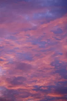 NA, USA, Kentucky, Louisville Clouds at sunset