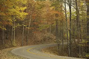 Drive Prints: NA, USA, Kentucky, Pine Mountain State Park Road winding through autumn colors