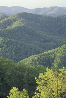 NA, USA, Kentucky, Pineville Southern Appalachian mountains in spring; Pine Mountain