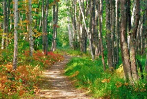 Path Prints: NA, USA, Maine