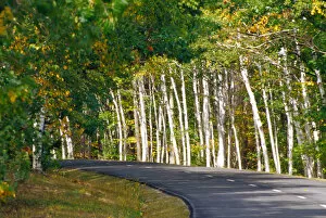 NA, USA, Maine. Road thru Acadia National Park