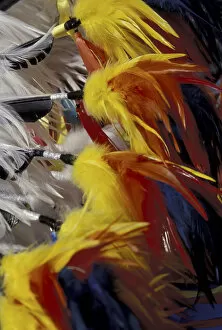 NA, USA, Montana, Arlee Feathers on Native American outfit at annual Arlee Powwow