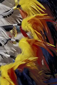 Pow Wow Prints: NA, USA, Montana, Arlee Feathers on Native American outfit at annual Arlee Powwow