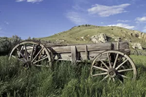 NA, USA, Montana, Bannack Old wagon made of wood in green grass near mining ghost