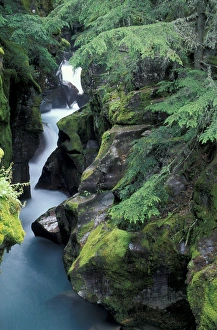 Images Dated 24th August 2004: NA, USA, Montana, Glacier National Park. Falls at Avalanche Gorge