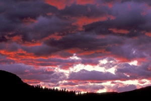 Images Dated 24th March 2005: NA, USA, Montana, Glacier NP Sunrise